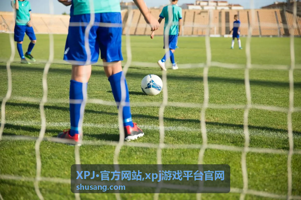 XPJ·官方网站xpj游戏平台官网服务概览